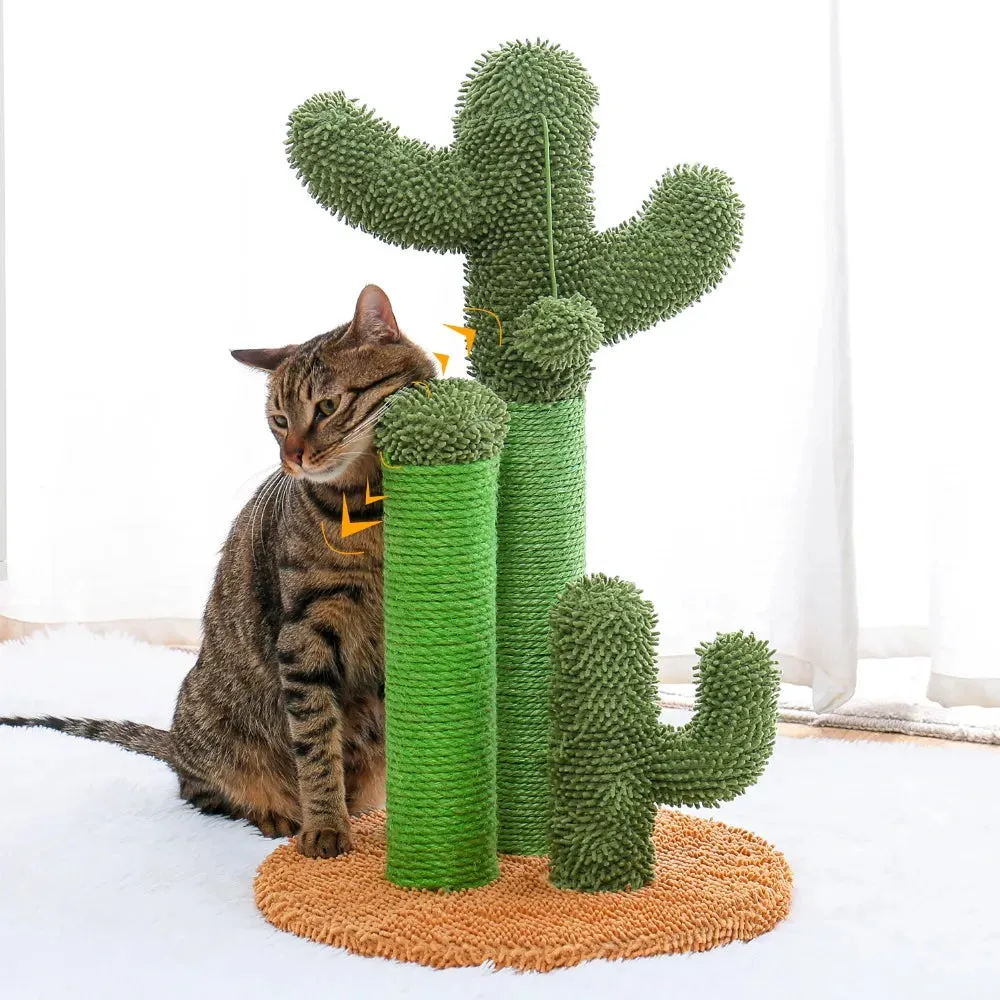 Cactus Scratch Post | Cat Toy