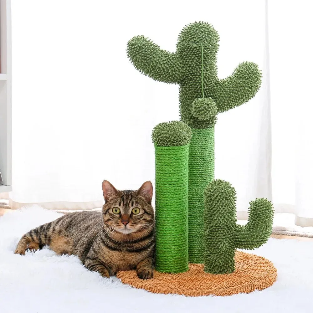 Cactus Scratch Post | Cat Toy