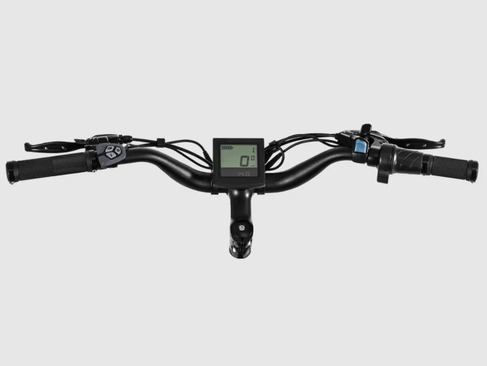 Himiway D3 Cruiser - Long Range Fat Tire Electric Bike