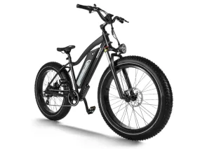 Himiway D3 Cruiser - Long Range Fat Tire Electric Bike