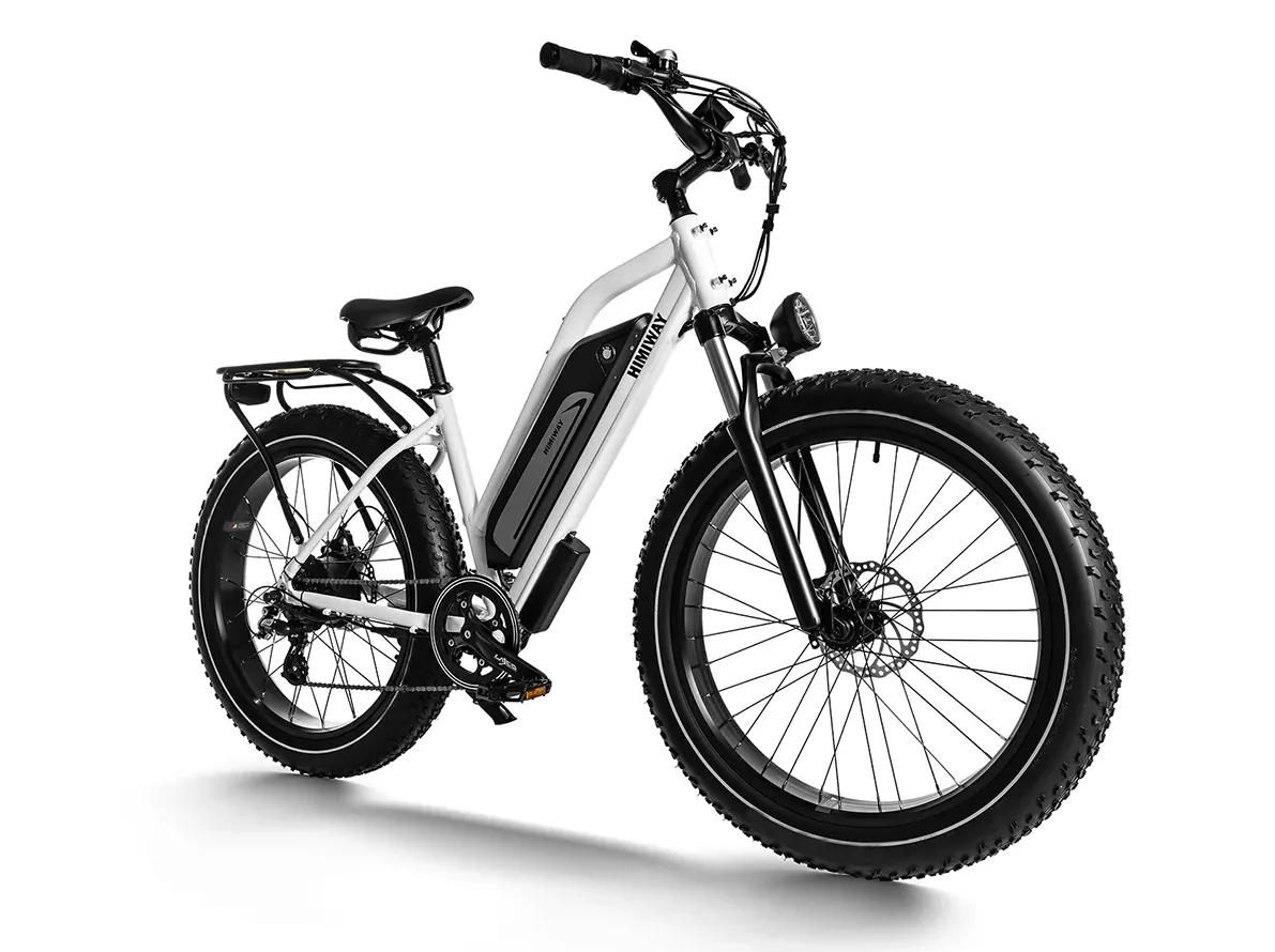 Himiway D3 Cruiser ST - Long Range Fat Tire Electric Bike