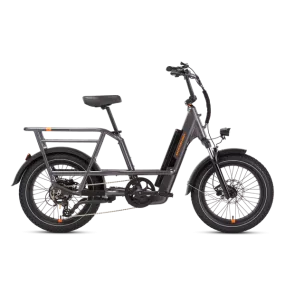 RadRunner 3 Plus Electric Utility Bike